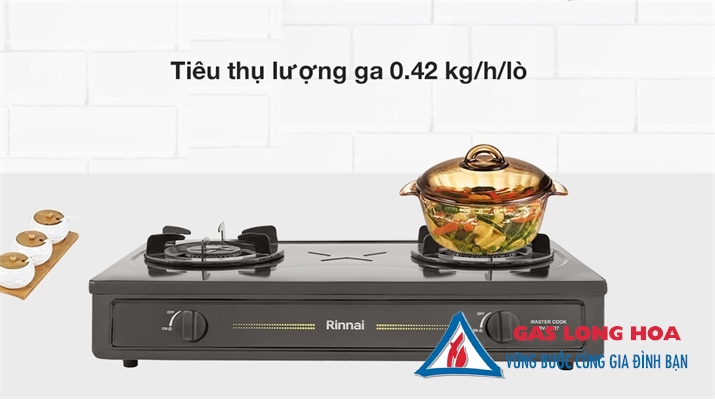 Bếp Gas Dương Rinnai RV- MC27BE 25