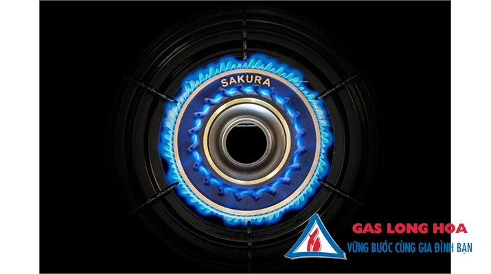 Bếp gas đôi SAKURA SA-890HG 11