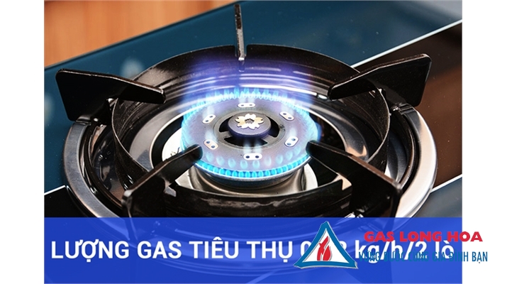Bếp gas đôi Sakura SA-692SG 31