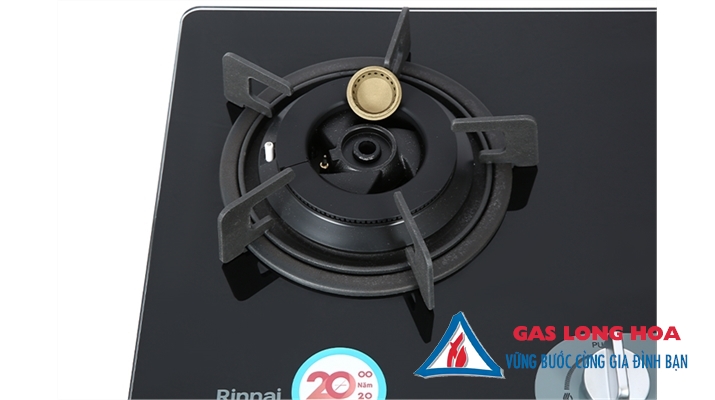 Bếp gas âm Rinnai RVB-220G(BG) 9