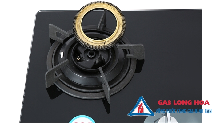 Bếp gas âm Rinnai RVB-220G(BG) 11