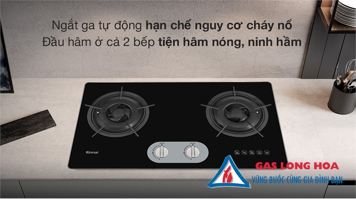 Bếp gas âm Rinnai RVB-220G(BG) 27