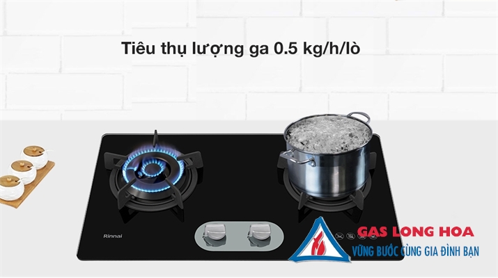 Bếp gas âm Rinnai RVB-220G(BG) 29