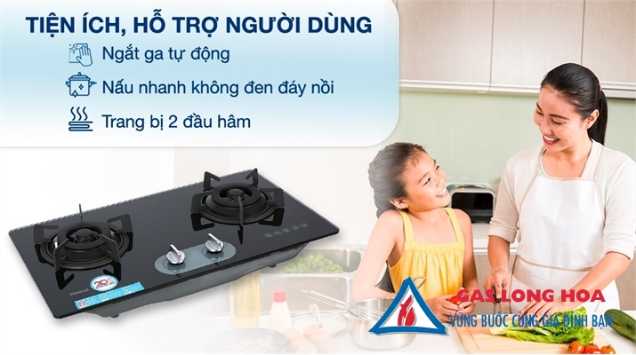 Bếp gas âm Rinnai RVB-220G(BG) 33