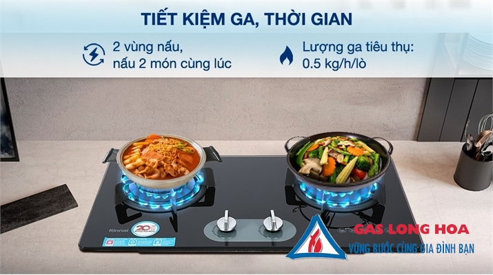 Bếp gas âm Rinnai RVB-220G(BG) 39