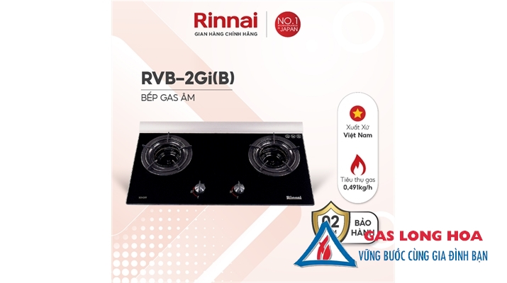 Bếp gas âm Rinnai 2 đầu đốt trong RVB-2GI(B) 3