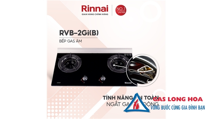 Bếp gas âm Rinnai 2 đầu đốt trong RVB-2GI(B) 5