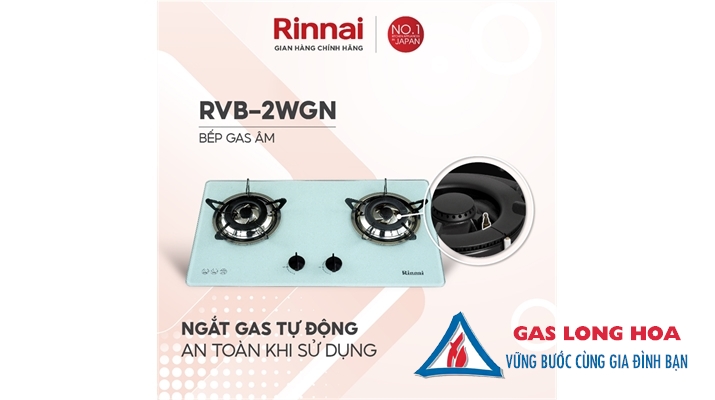 BẾP GAS ÂM RINNAI RVB-2WGN 37