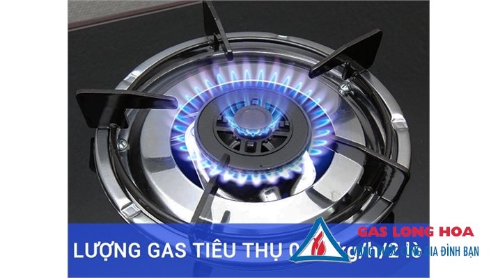 Bếp gas đôi Sakura SA-695SG 29