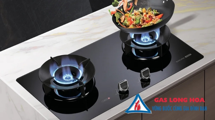 Bếp gas âm đôi SAKURA G2923AG 9